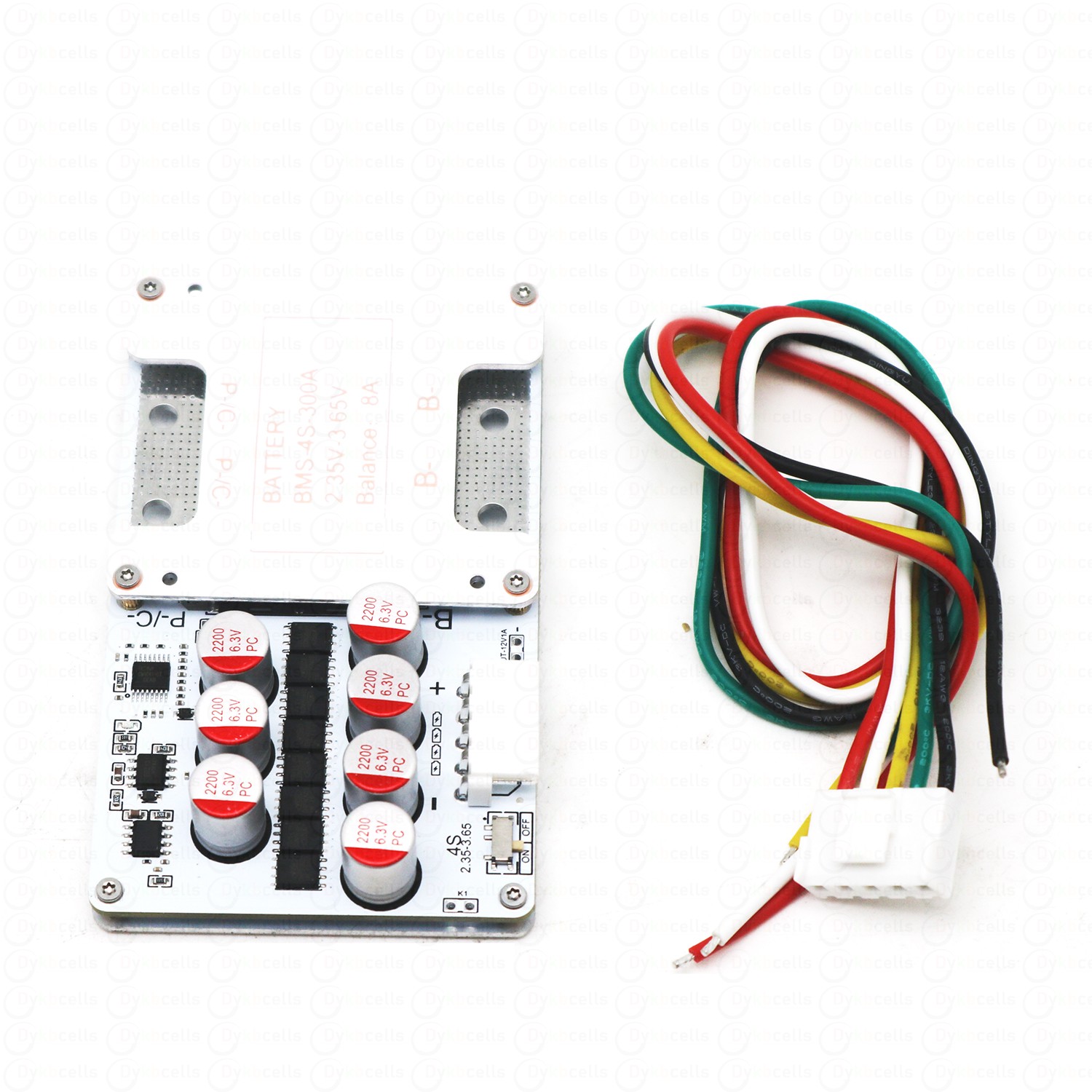 BSM 4S 150A LiFePO4 Lithiumbat - Audio Music Equalizer recensie en prijs