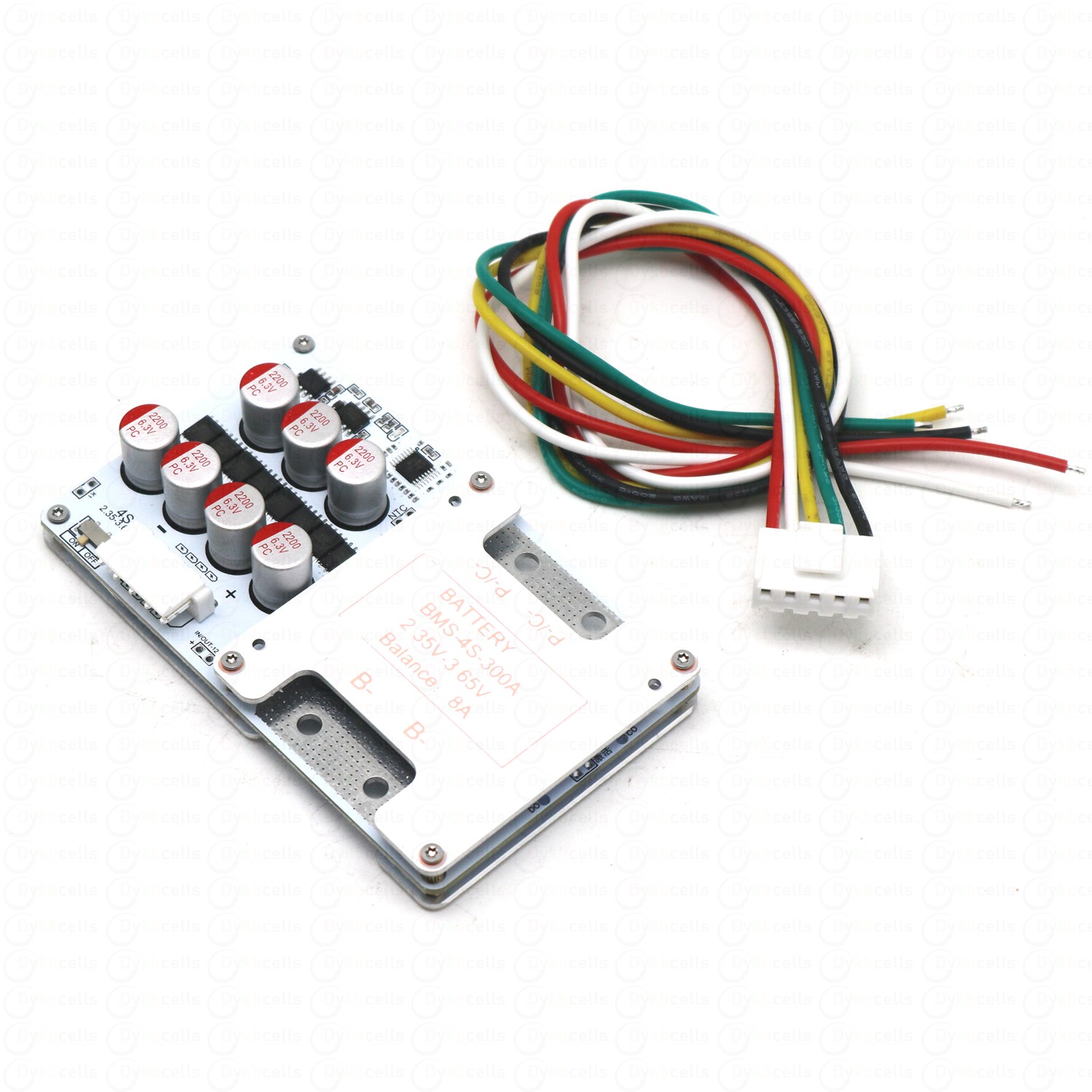 BSM 4S 150A LiFePO4 Lithiumbat - Audio Music Equalizer recensie en prijs